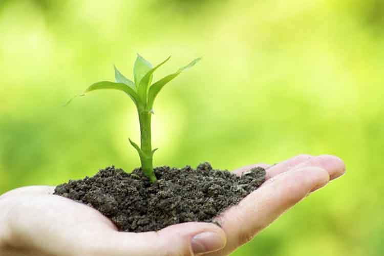 電解水克服重茬連做障礙