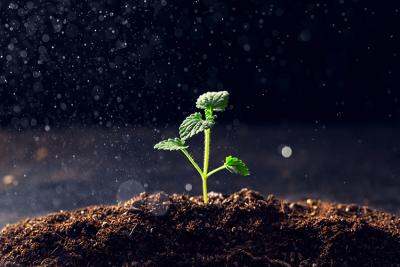 次氯酸發(fā)生器