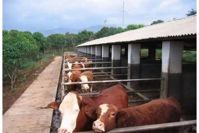 次氯酸消毒液發生器