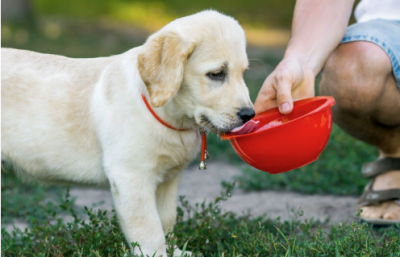 次氯酸發(fā)生器