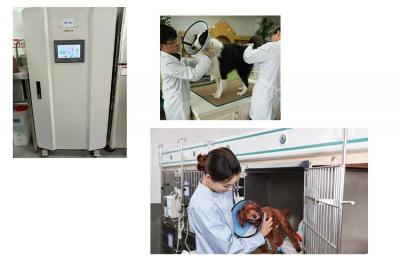 泰國客戶購買次氯酸發生器SHC300用于寵物養殖