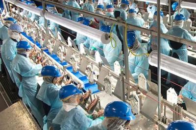 次氯酸發生器在食品行業的應用有哪些？