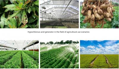 次氯酸可有效祛除農殘