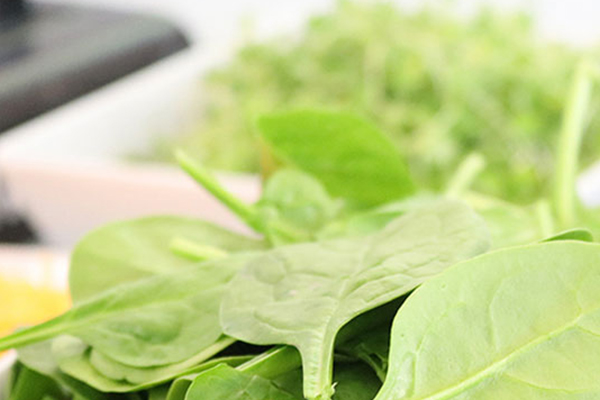 怎樣使作物綠色無污染,次氯酸做到了 怎樣使作物綠色無污染,次氯酸做到了