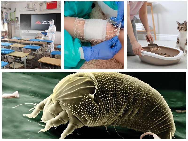 次氯酸的六大功能你知道幾個-盛懷次氯酸發生器