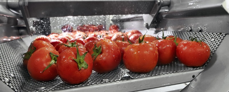 次氯酸發(fā)生器-凈菜保鮮中的應(yīng)用