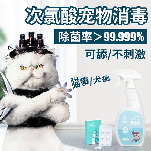 1669256443233215.jpg 3.jpg