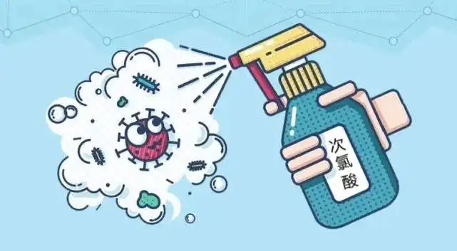 1671071105308342.jpg 55.webp.jpg