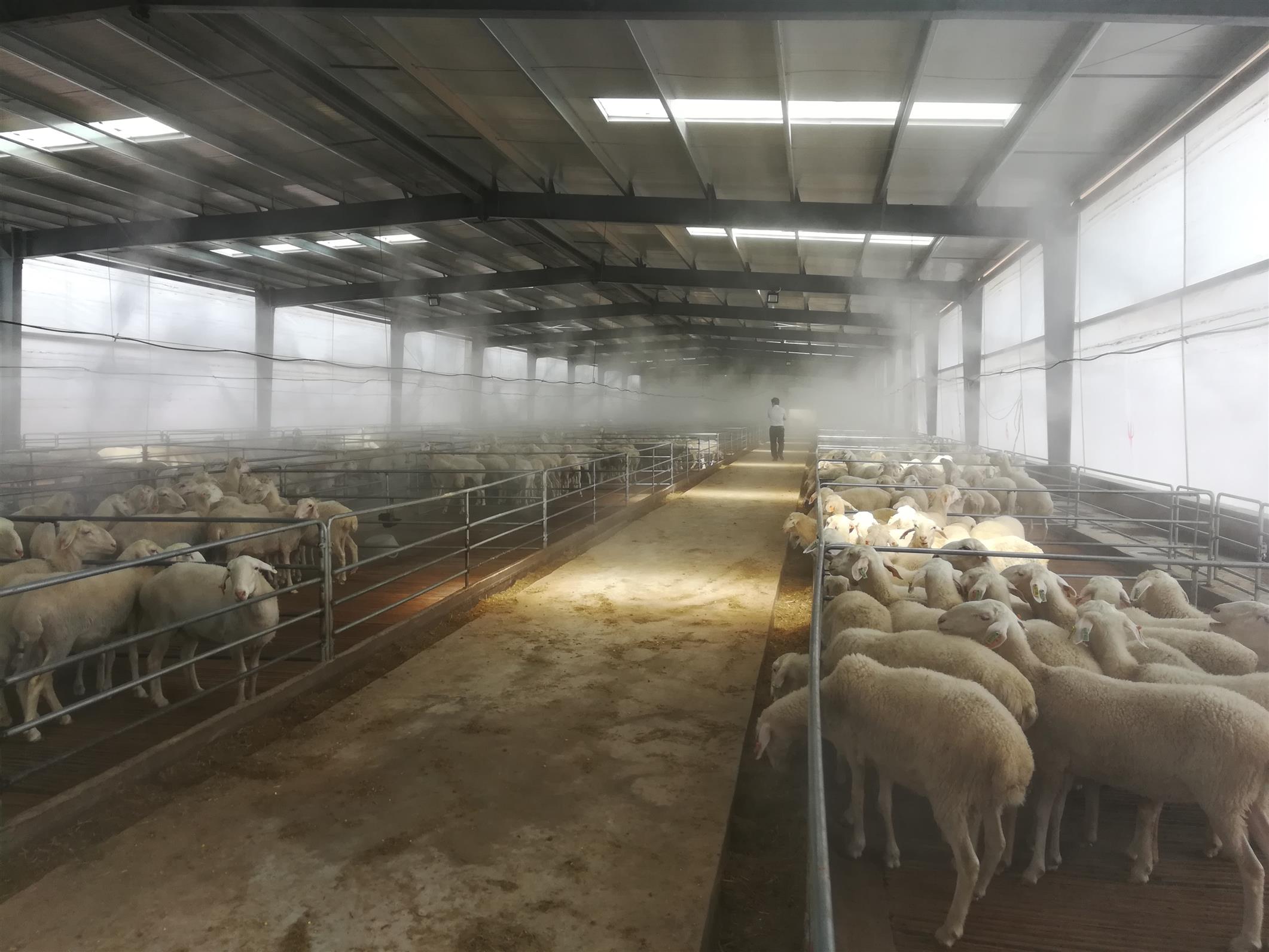 1675239781274155.jpg 2021070717240357894.jpg