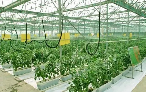 1675845606822454.jpg 12.webp.jpg