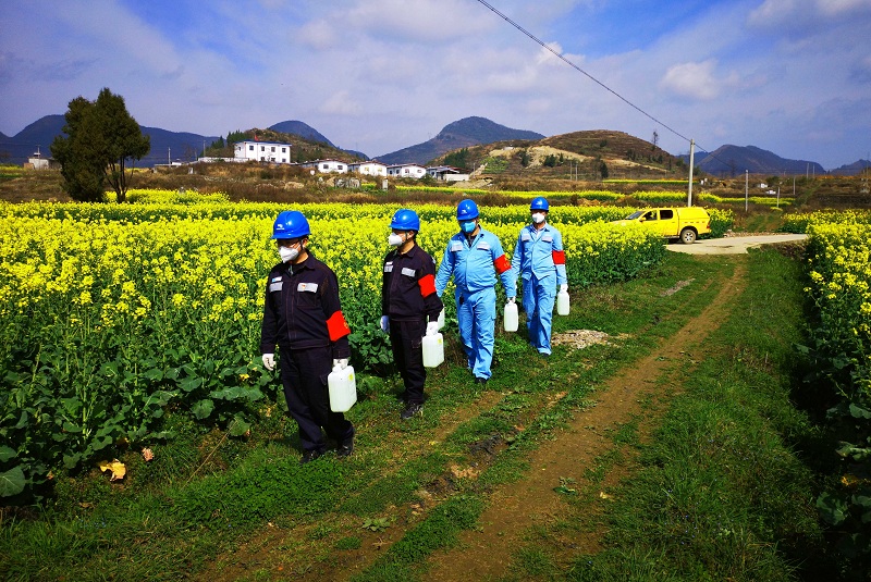 次氯酸農作物消毒