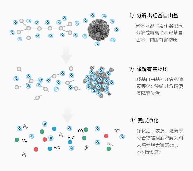 某品牌果蔬清洗機技術原理介紹