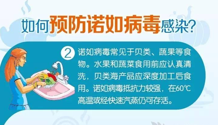 如何預防諾如病毒