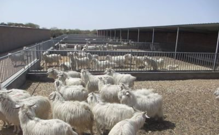 盛懷次氯酸發生器可對畜禽舍進行消毒 盛懷次氯酸發生器可對畜禽舍進行消毒