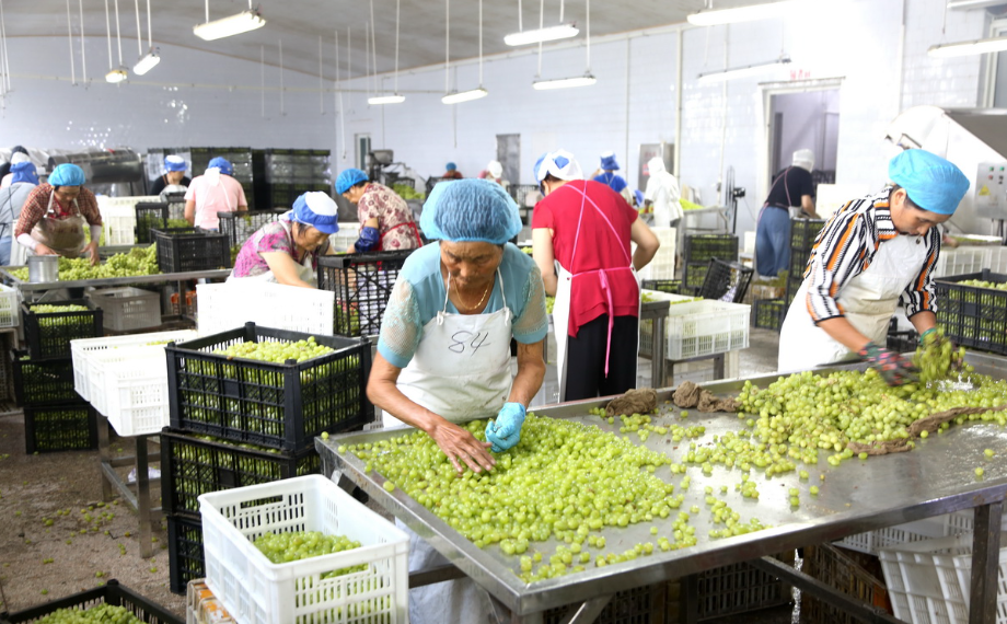 次氯酸水在食品加工行業(yè)的應(yīng)用 次氯酸水在食品加工行業(yè)的應(yīng)用
