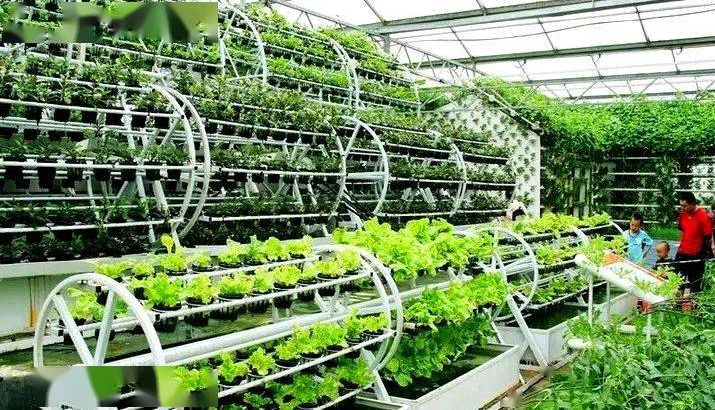 次氯酸水可有效用在農業種植生產中 次氯酸水可有效用在農業種植生產中