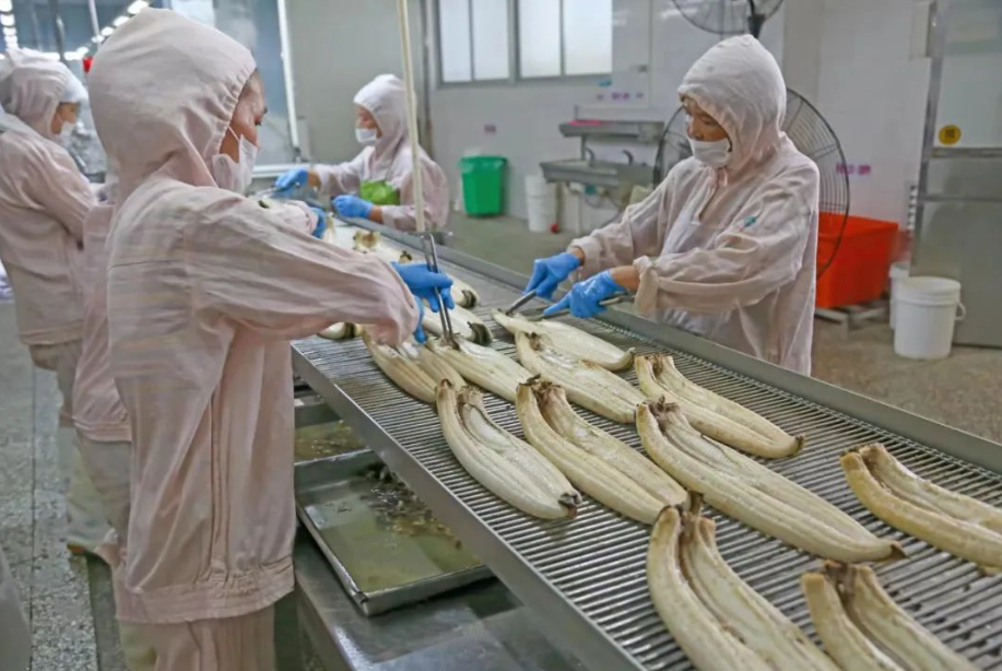 微酸性電解水在水產加工行業逐漸風靡 微酸性電解水在水產加工行業逐漸風靡