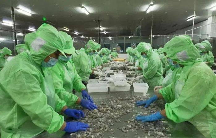 1699232518496947.png 2b585b62eb5f6e670a13b89dc7dcc96.png