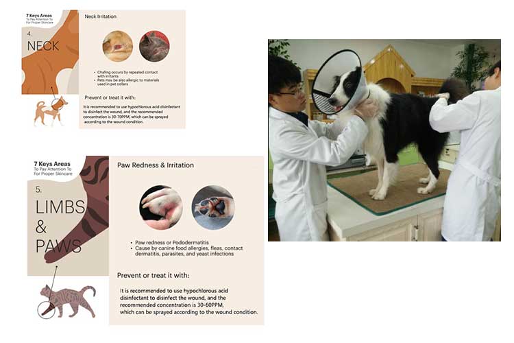 次氯酸水在養狗養貓方面的應用