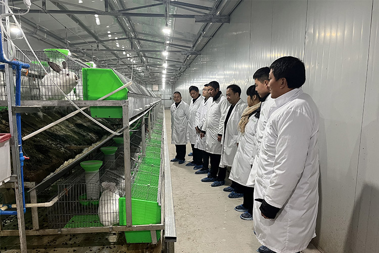 次氯酸發生器用于養殖 次氯酸發生器用于養殖