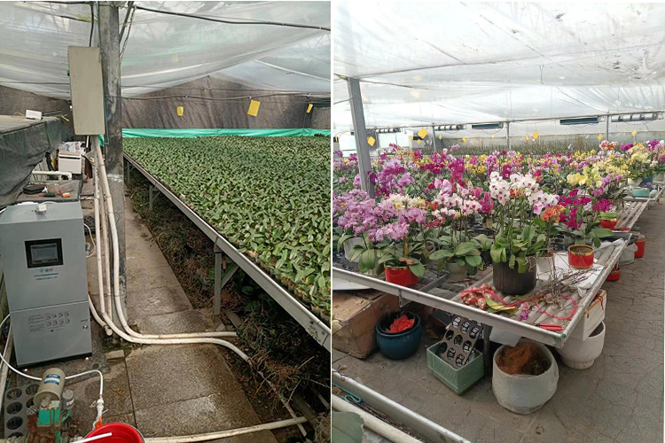 次氯酸發生器用于農業種植 次氯酸發生器用于農業種植