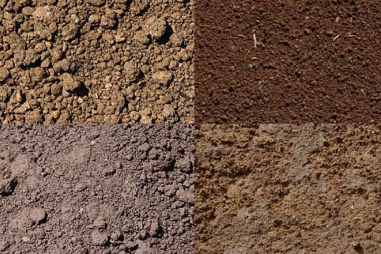 次氯酸發(fā)生器土壤調(diào)節(jié) 次氯酸發(fā)生器土壤調(diào)節(jié)